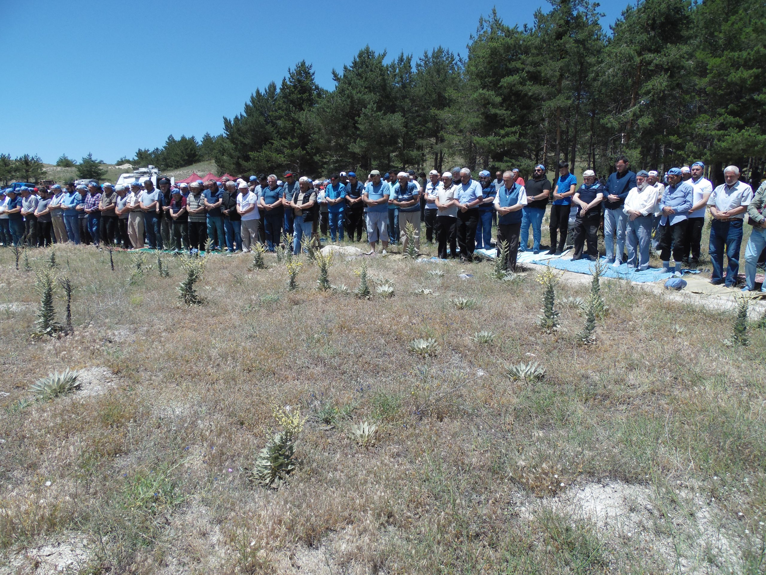 ÇANKIRI (AA) – Çankırı’nın Orta ilçesine bağlı Kalfat beldesinde 557