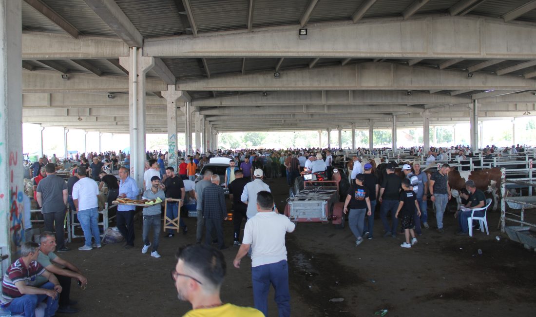 NEVŞEHİR (AA) – Nevşehir, Niğde, Kırıkkale, Yozgat ve Kırşehir'de hayvan