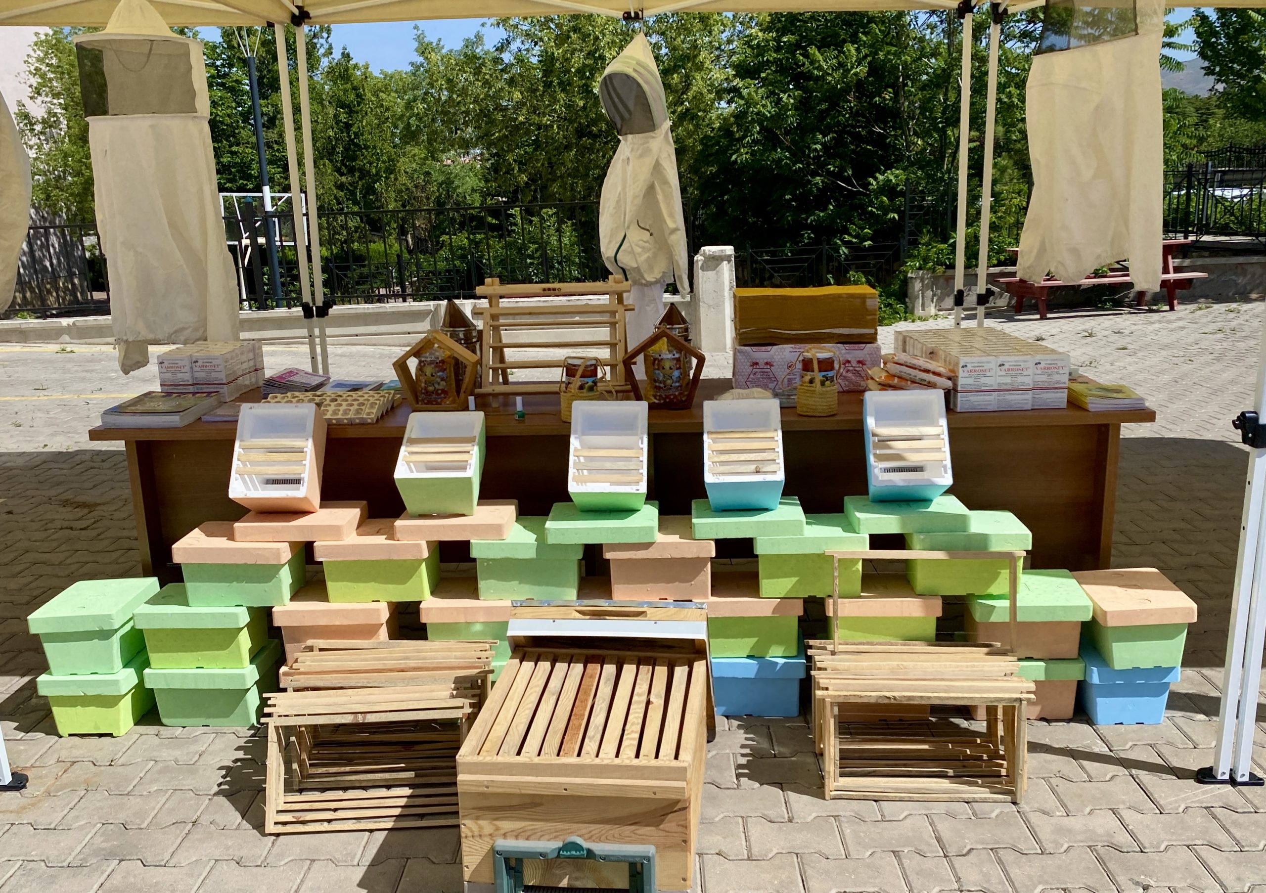 KIRŞEHİR (AA) – Kırşehir'de bal üretimininde verimin artırılması amacıyla 100