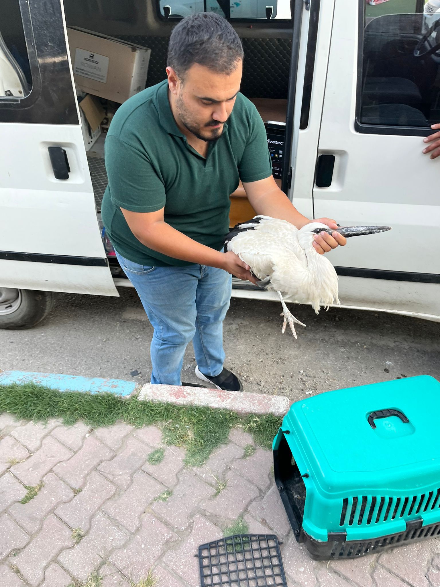 KIRIKKALE (AA) – Kırıkkale'nin Bahşılı ilçesinde cami kubbesindeki yuvasından düşerek