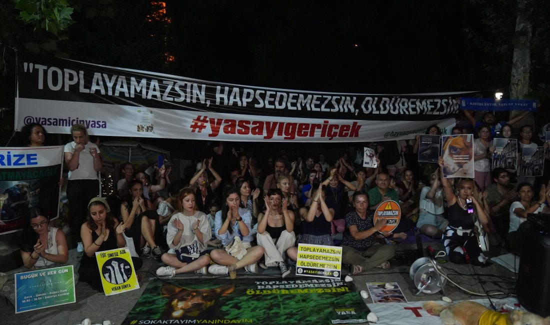 ANKARA (AA) – Ankara'da, Hayvanları Koruma Kanunu'nda Değişiklik Yapılmasına Dair