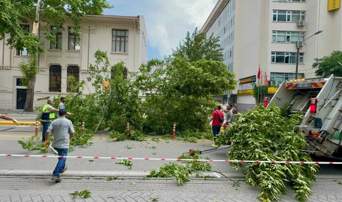 ESKİŞEHİR (AA) – Eskişehir'in Odunpazarı ilçesinde etkili olan kuvvetli rüzgarın