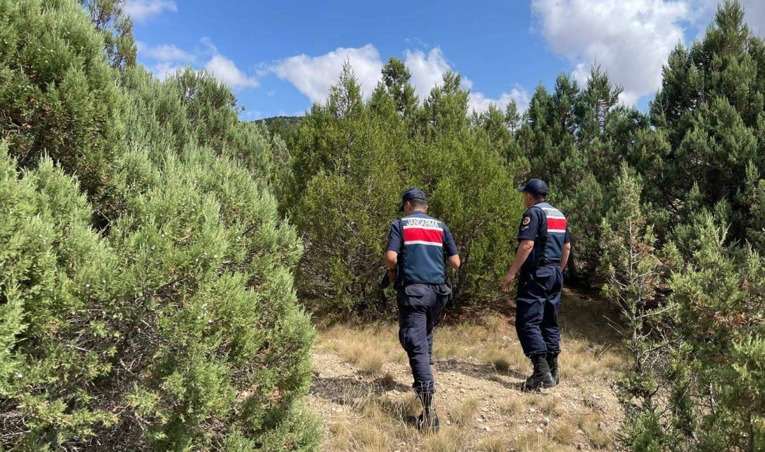 ESKİŞEHİR (AA) – Eskişehir İl Jandarma Komutanlığı ekiplerinin ormanlık alanlar