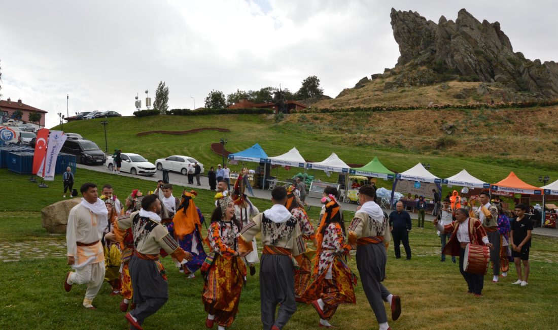 - Festival kapsamında farklı ülkelerden gelen 41 ressam, Nasreddin Hoca