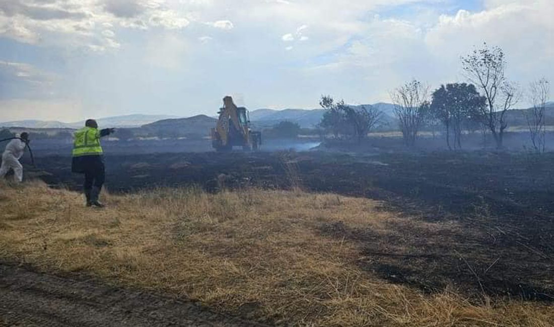ANKARA (AA) – Ankara'nın Güdül ilçesinde çıkan 2 anız yangını