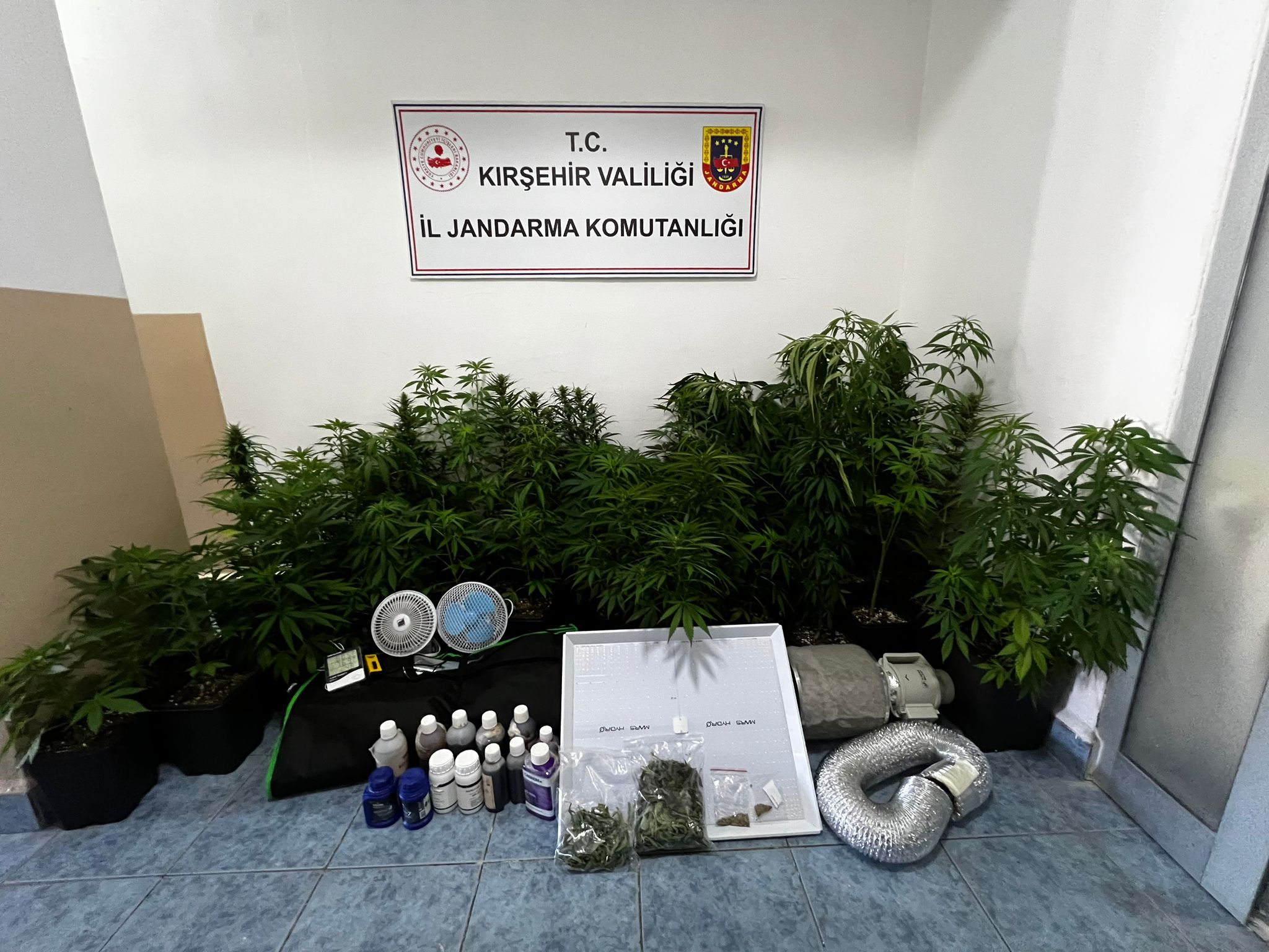 KIRŞEHİR (AA) – Kırşehir İl Jandarma Komutanlığı ekiplerince yapılan operasyonda