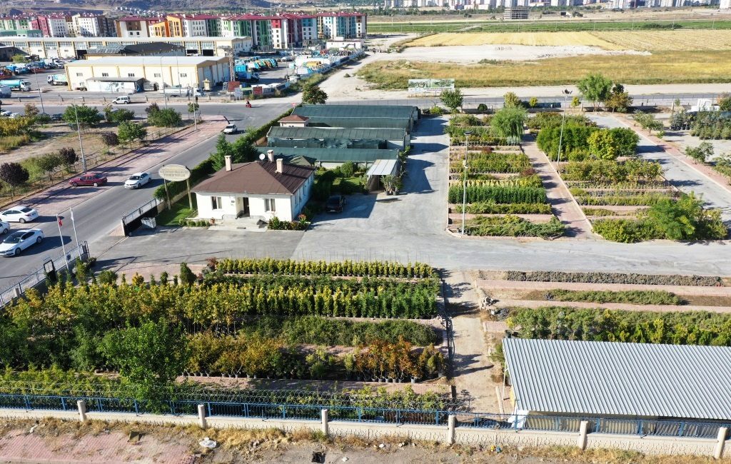 KAYSERİ (AA) – Kocasinan Belediyesi, Park ve Bahçeler Müdürlüğüne bağlı