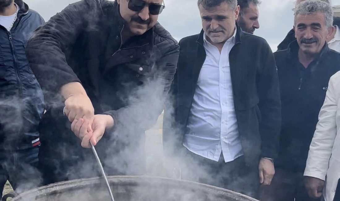 SİVAS (AA) – Sivas'ın Suşehri ilçesinde, Anadolu Selçukluları ile Moğollar