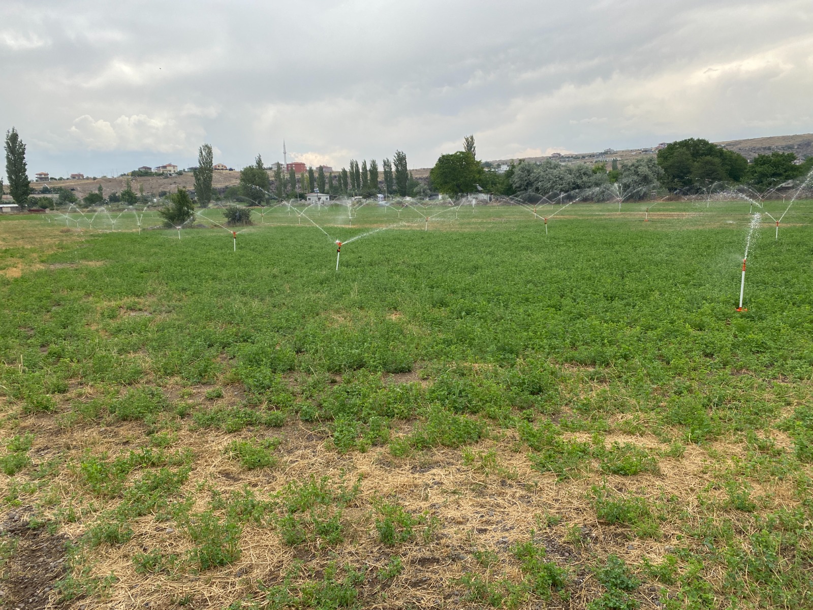 KAYSERİ (AA) – Melikgazi Belediyesi ilçenin birçok mahallesinde yağmurlama ve