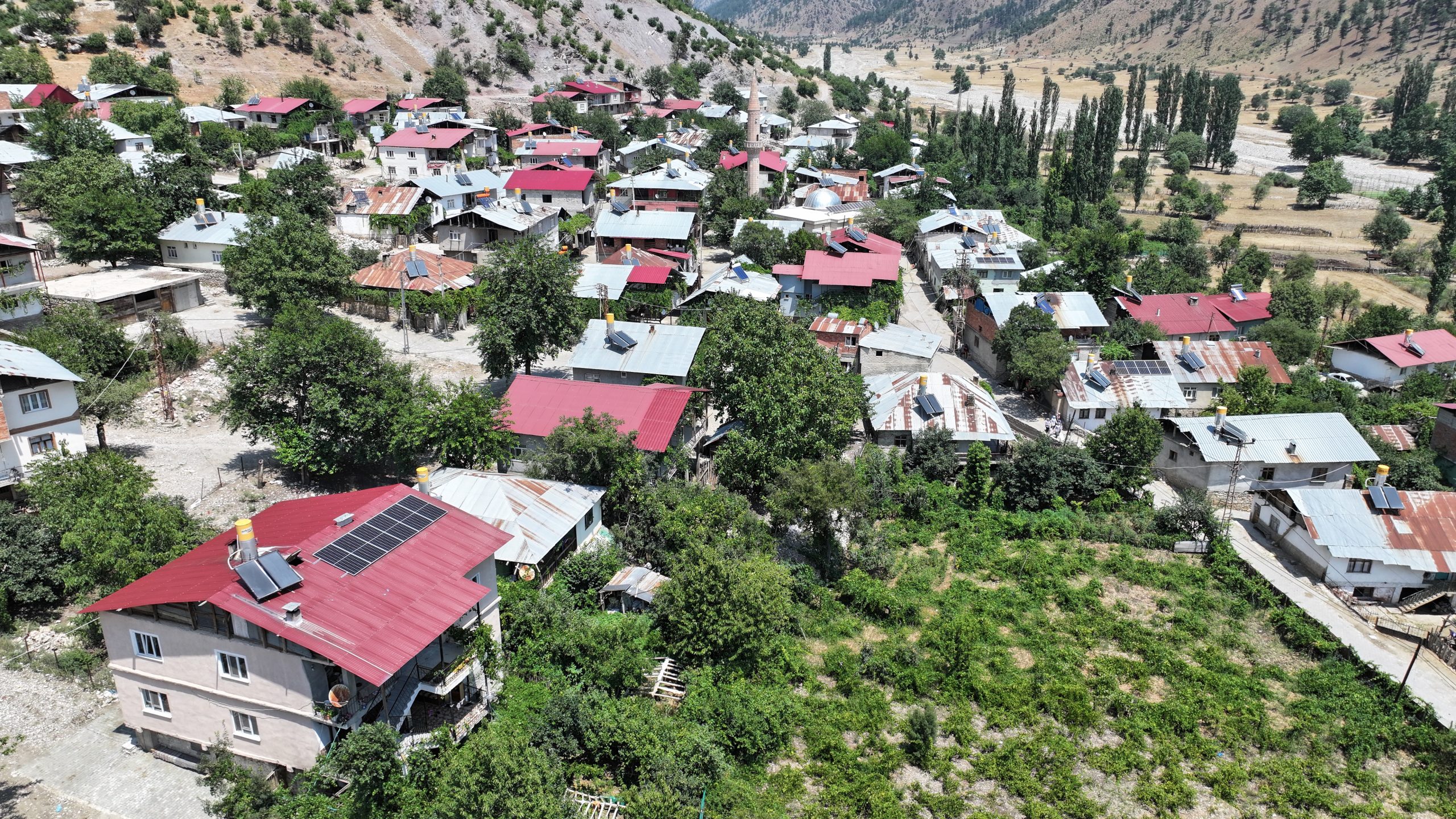 KAYSERİ (AA) – MÜZAHİM ZAHİD TÜZÜN – Orman Genel Müdürlüğünün,
