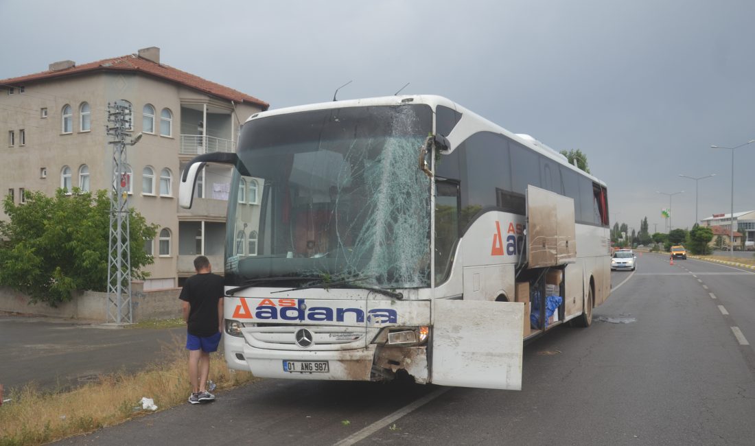 SİVAS (AA) – Sivas'ın Şarkışla ilçesinde refüjdeki aydınlatma direğine çarpan