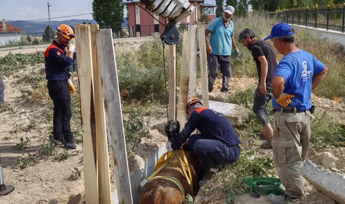 SİVAS (AA) – Sivas'ta üzeri açık bırakılan menfezden düşen inek,