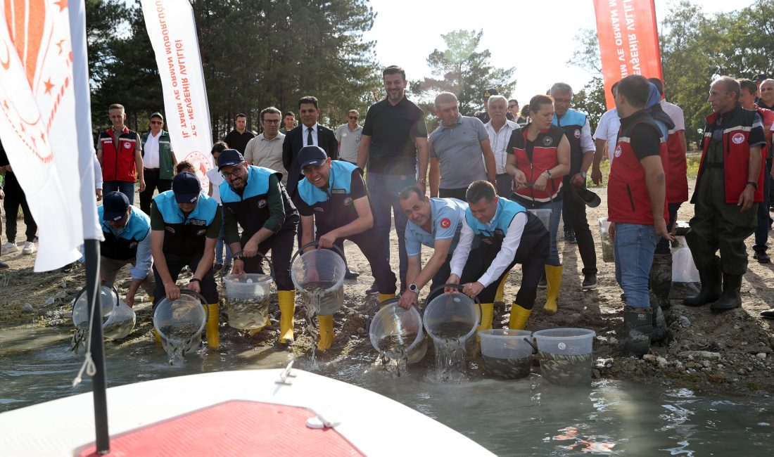 NEVŞEHİR (AA) – Tarım ve Orman Bakan Yardımcısı Ebubekir Gizligider,
