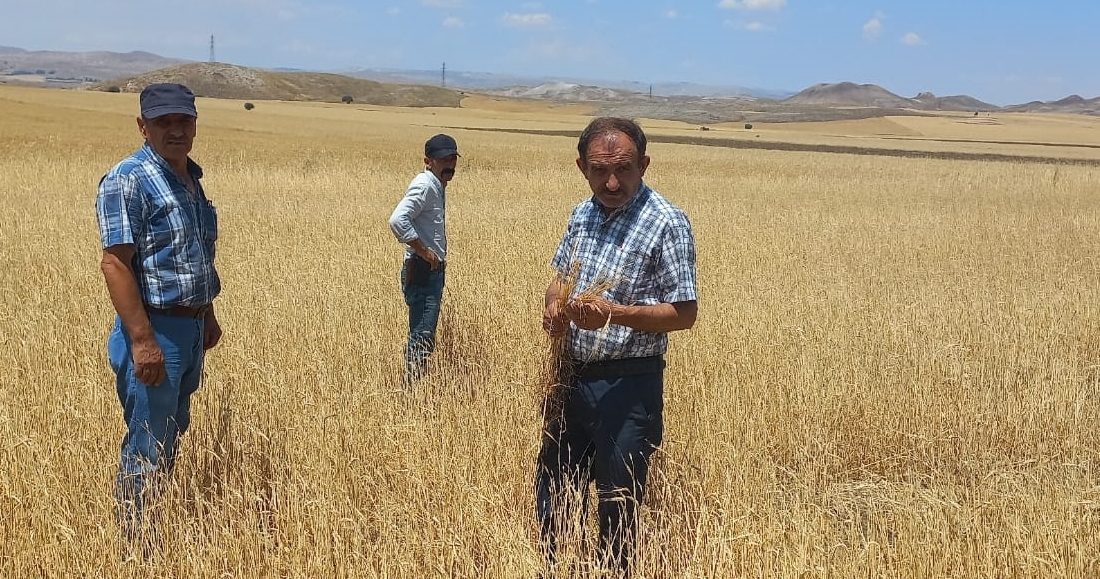 SİVAS (AA) – Sivas'ın Ulaş ilçesinde etkili olan dolu yaklaşık
