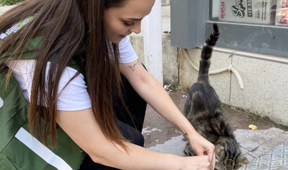 Yeşilay Çankırı Şubesi  sokak hayvanları için Çankırı’nın farklı noktalarına mama