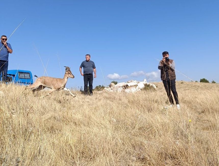 YOZGAT (AA) – Yozgat'ın Aydıncık ilçesindeki Kazankaya Kanyonu'na 5 dağ