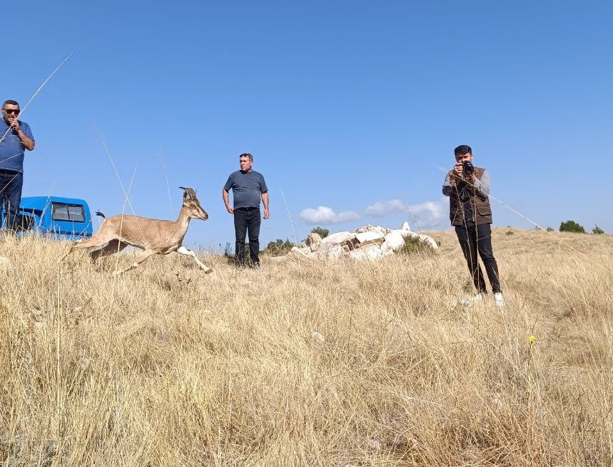 YOZGAT (AA) – Yozgat'ın Aydıncık ilçesindeki Kazankaya Kanyonu'na 5 dağ