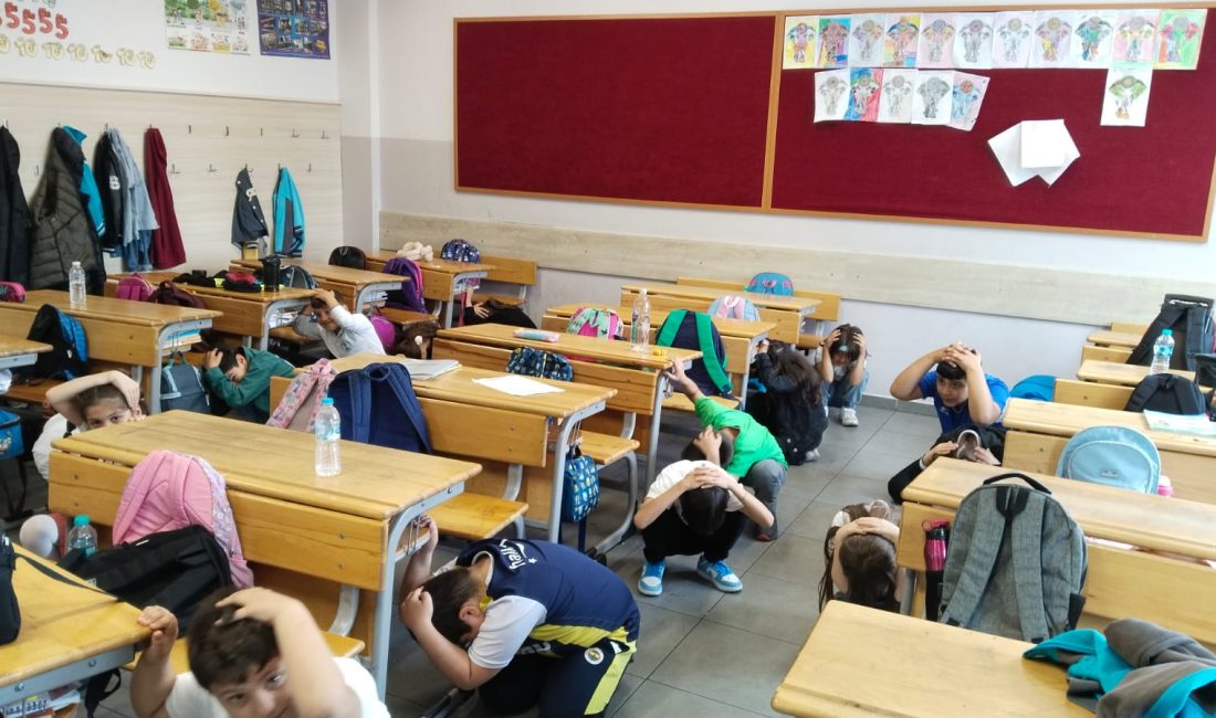 İSTANBUL (AA) – Visa, Birleşmiş Milletler Kalkınma Programı (UNDP) ve