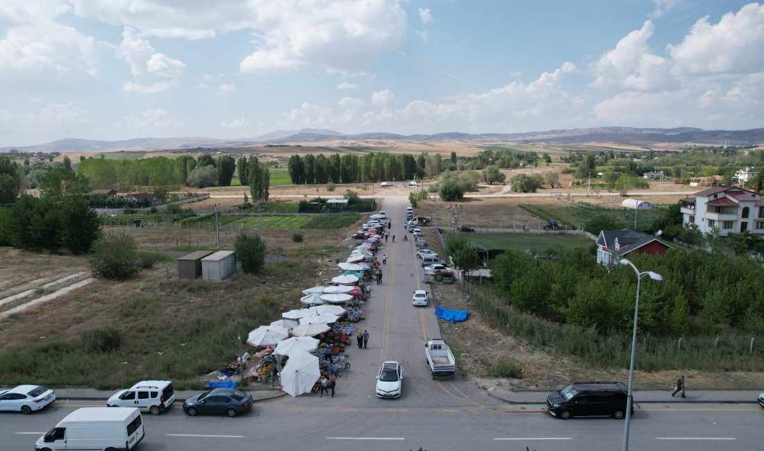 ANKARA (AA) – Ankara'nın Çubuk ilçesinde çiftçilerin yetiştirdiği ürünlerin satışa