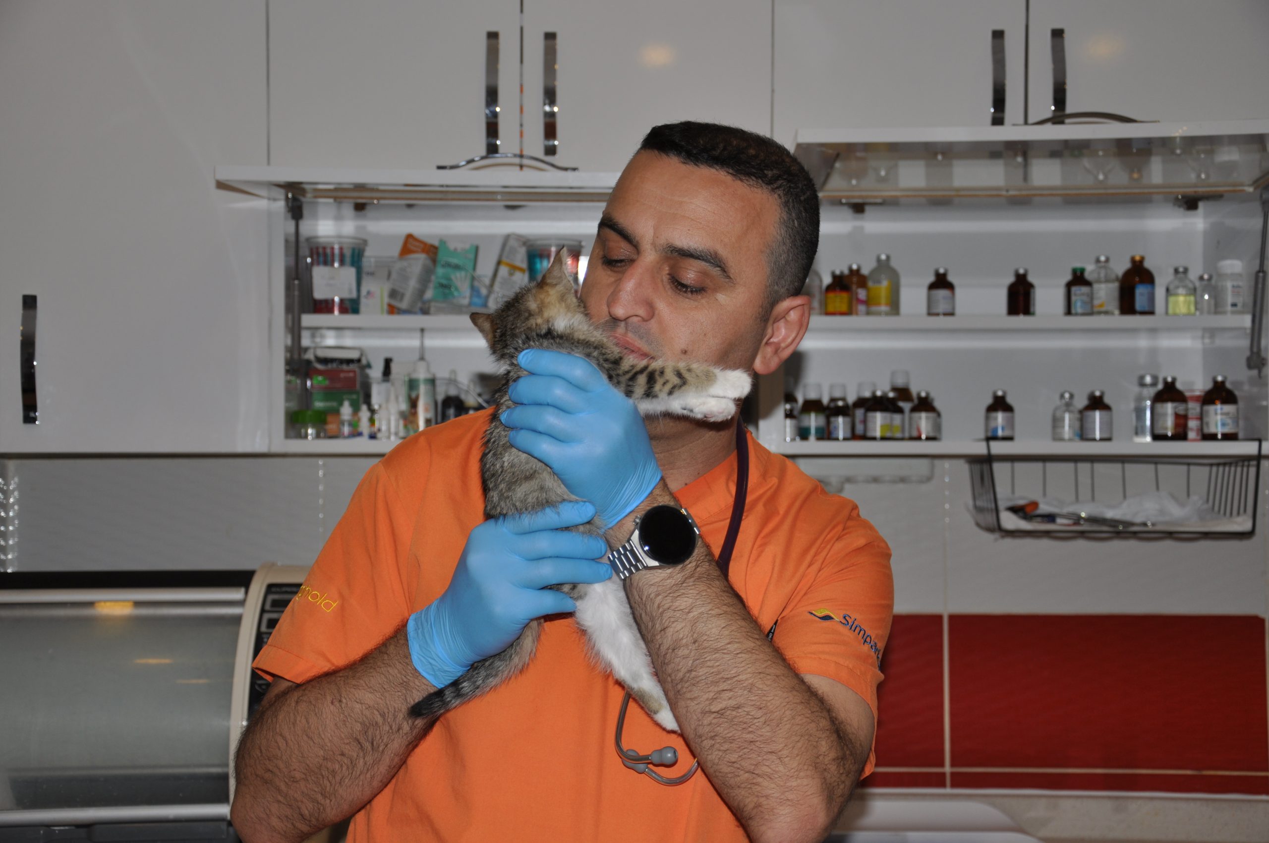 ESKİŞEHİR (AA) – Eskişehir'de, yemek borusunun genişlemesi nedeniyle tavuk gibi