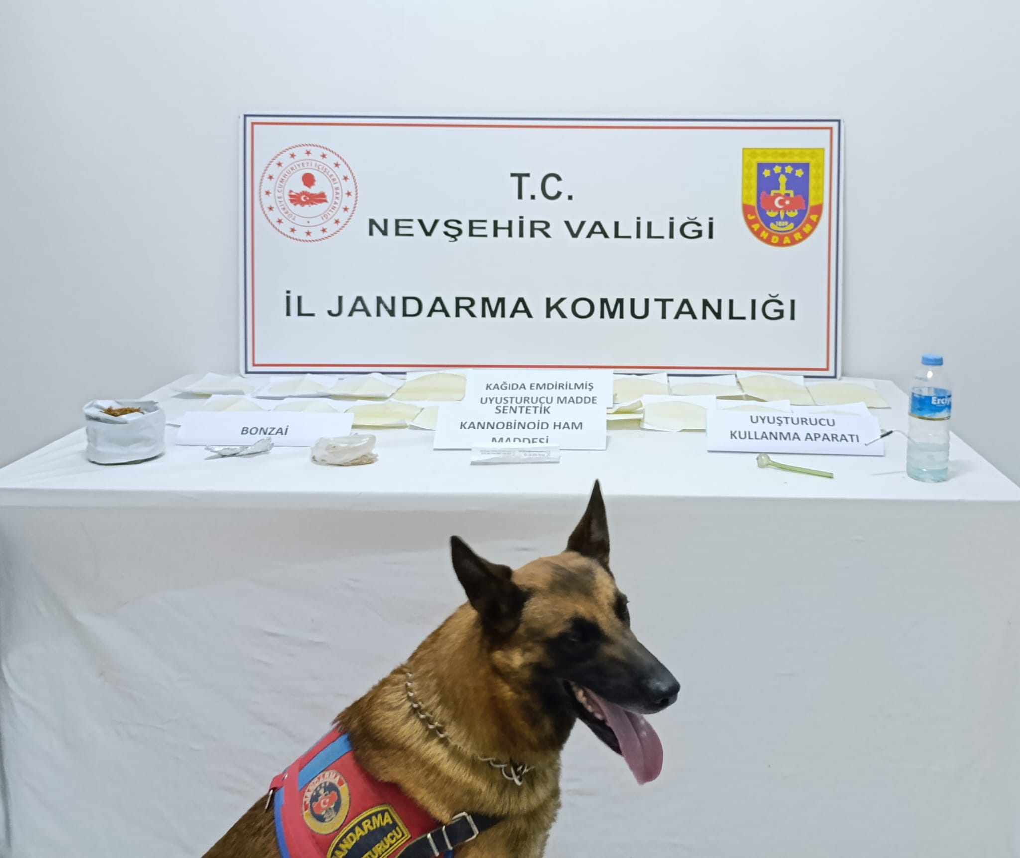 NEVŞEHİR (AA) – Nevşehir'de uyuşturucu operasyonunda gözaltına alınan zanlı tutuklandı.