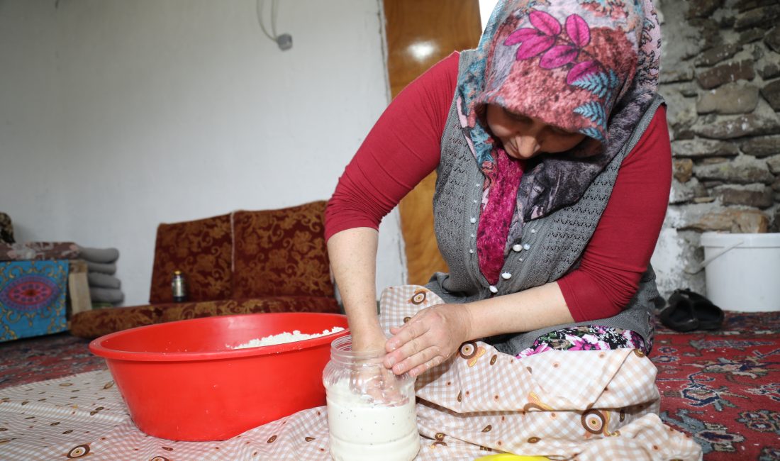ANKARA (AA) – HÜSEYİN YİĞİNER – Hayvancılığın yaygın yapıldığı Ankara'nın