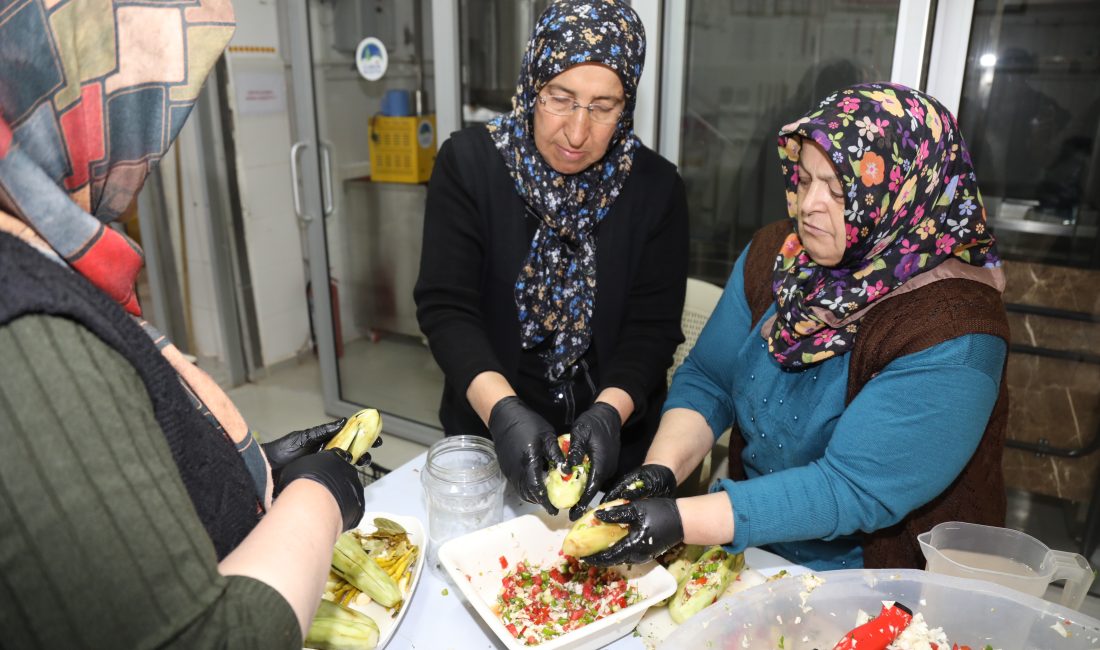 ANKARA (AA) – Ankara'nın Çubuk ilçesinde salatalık turşusunun kurulum döneminin