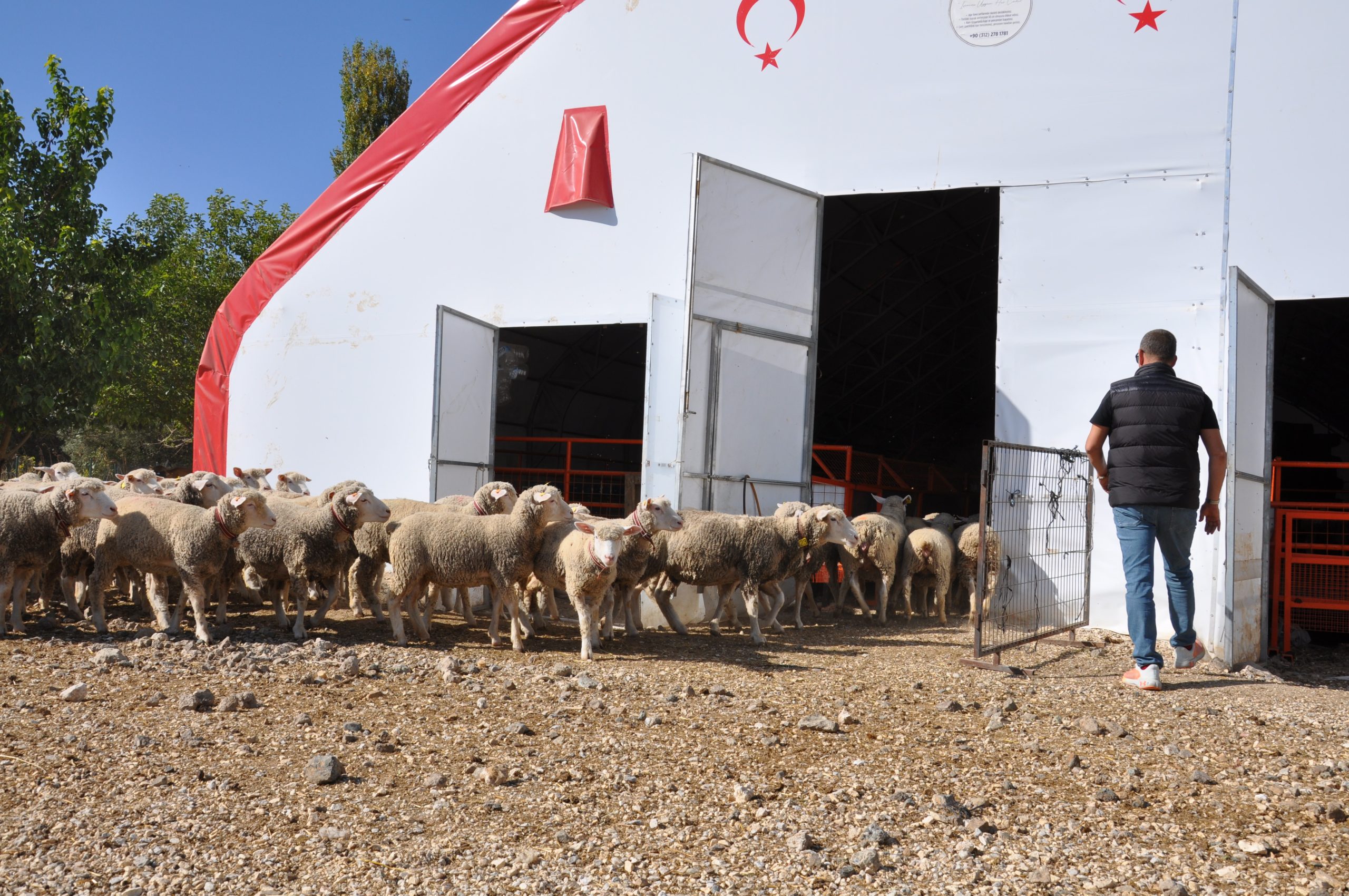 ESKİŞEHİR (AA) – GÜNHAN ÖZCEYLAN – Eskişehir'de 3 yıl çiftlik