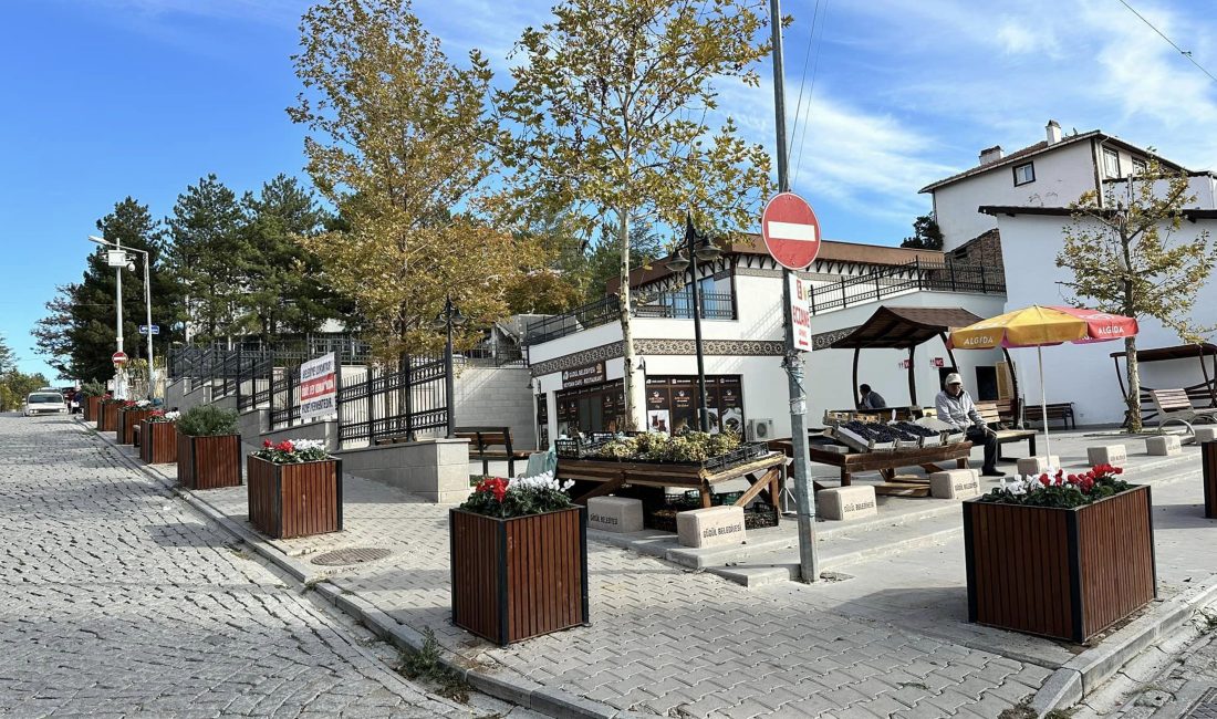 ANKARA (AA) – Güdül Belediye Başkanı Mehmet Doğanay, ilçeyi kırmızı