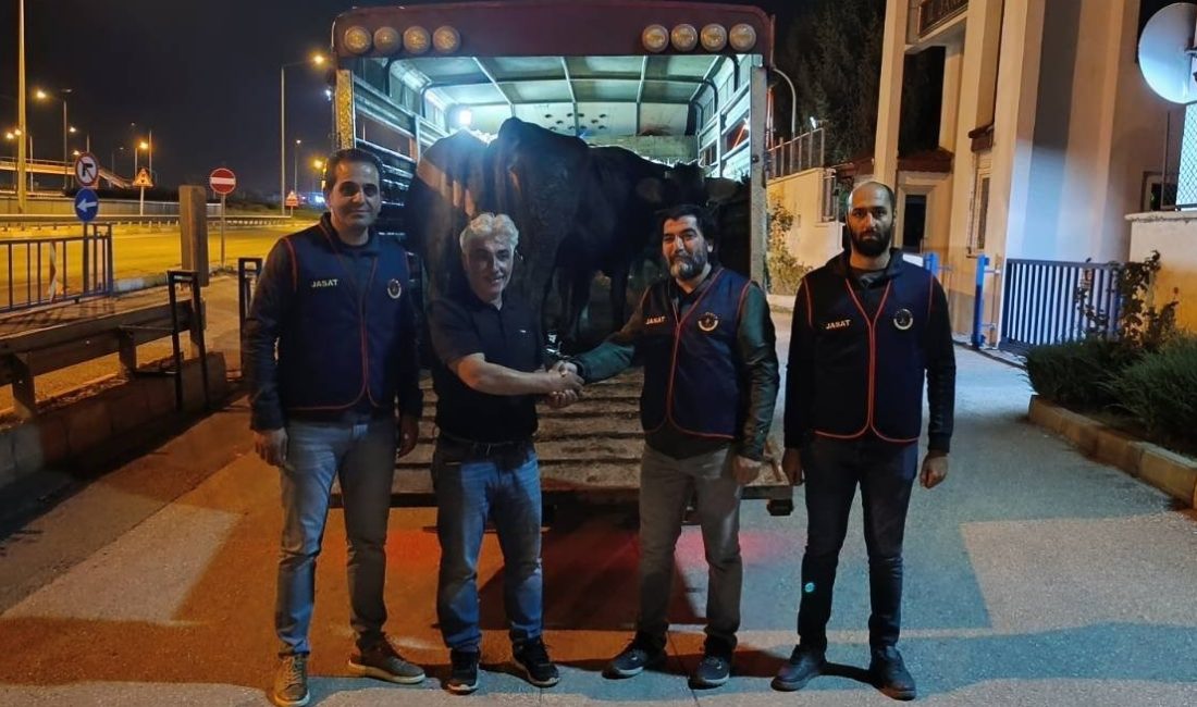 ERZİNCAN (AA) – Jandarma ekipleri, Sivas'ta çalınıp Erzincan ve Bayburt'ta