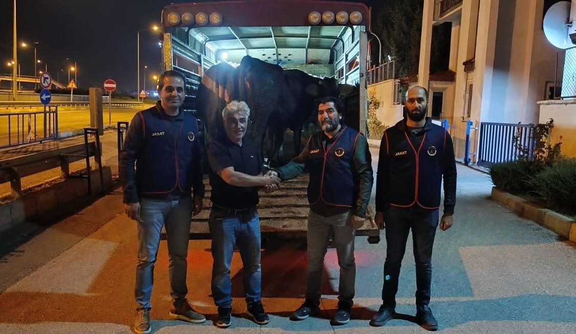 ERZİNCAN (AA) – Jandarma ekipleri, Sivas'ta çalınıp Erzincan ve Bayburt'ta