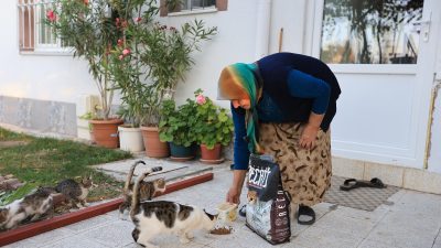 KAYSERİ (AA) – Kayseri Büyükşehir Belediyesi, evinin bahçesinde beslediği kediler