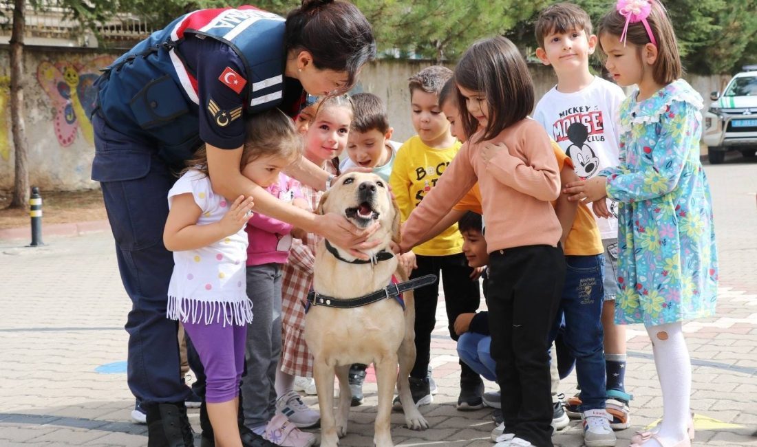 KIRŞEHİR (AA) – Kırşehir'de jandarma ekipleri anaokulu öğrencilerine çocuk oyunlarıyla