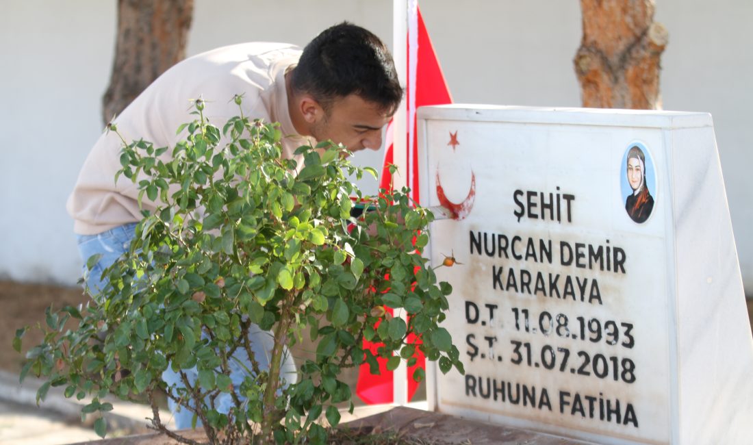 Sivas (AA) – Sivas'ın Şarkışla ilçesinde CHP Gençlik Kolları tarafından