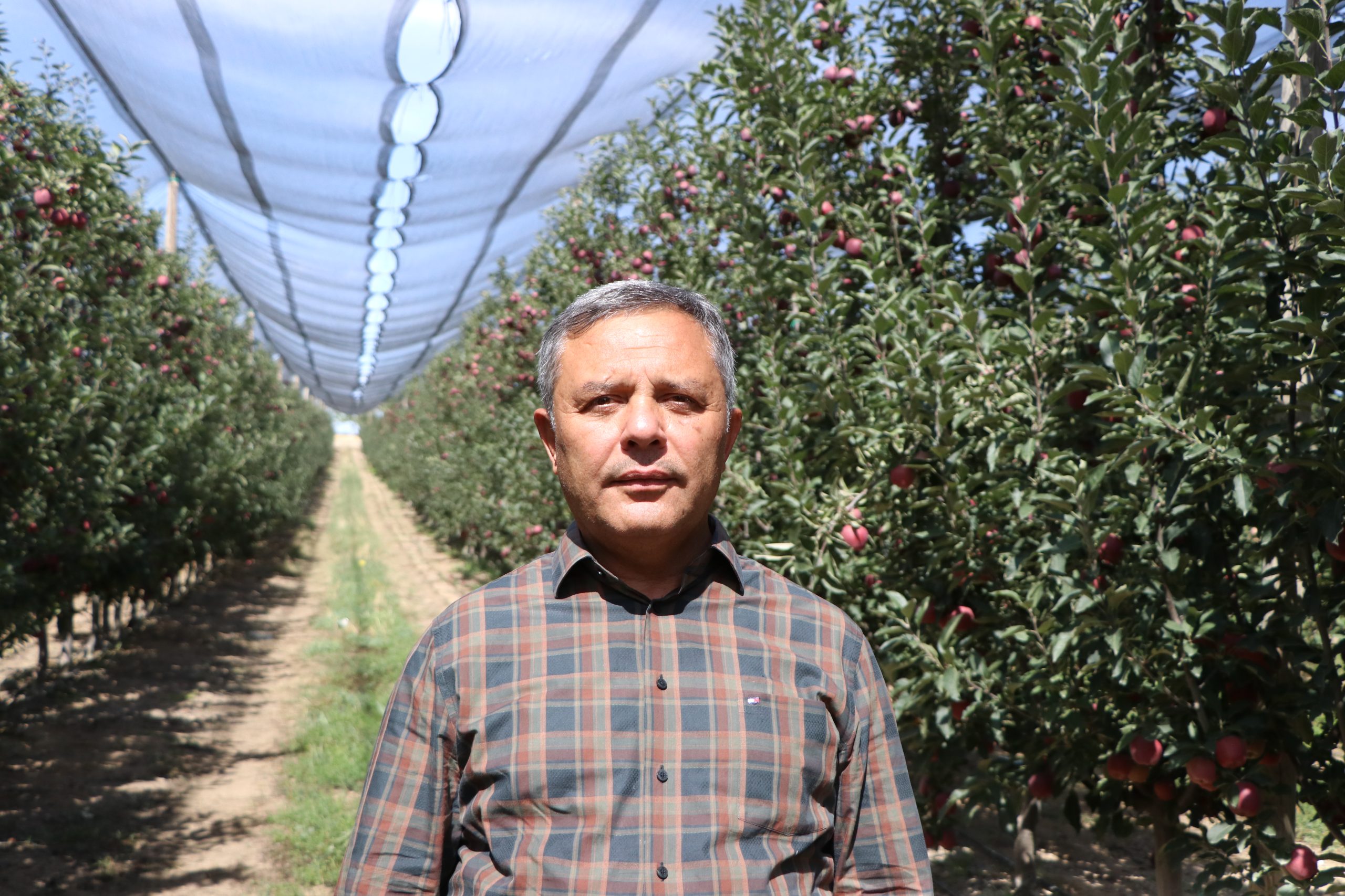 NİĞDE (AA) – ABDULLAH ÖZKUL – Türkiye'nin önemli elma üretim
