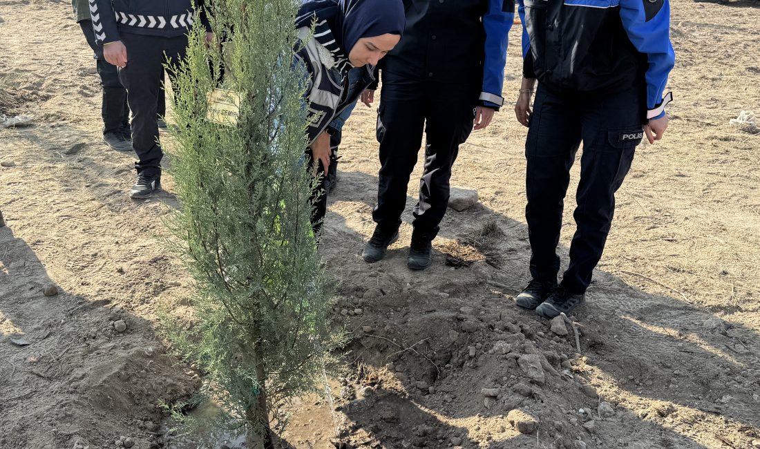 AKSARAY (AA) – Aksaray'da, "11 Kasım Milli Ağaçlandırma Günü" kapsamında