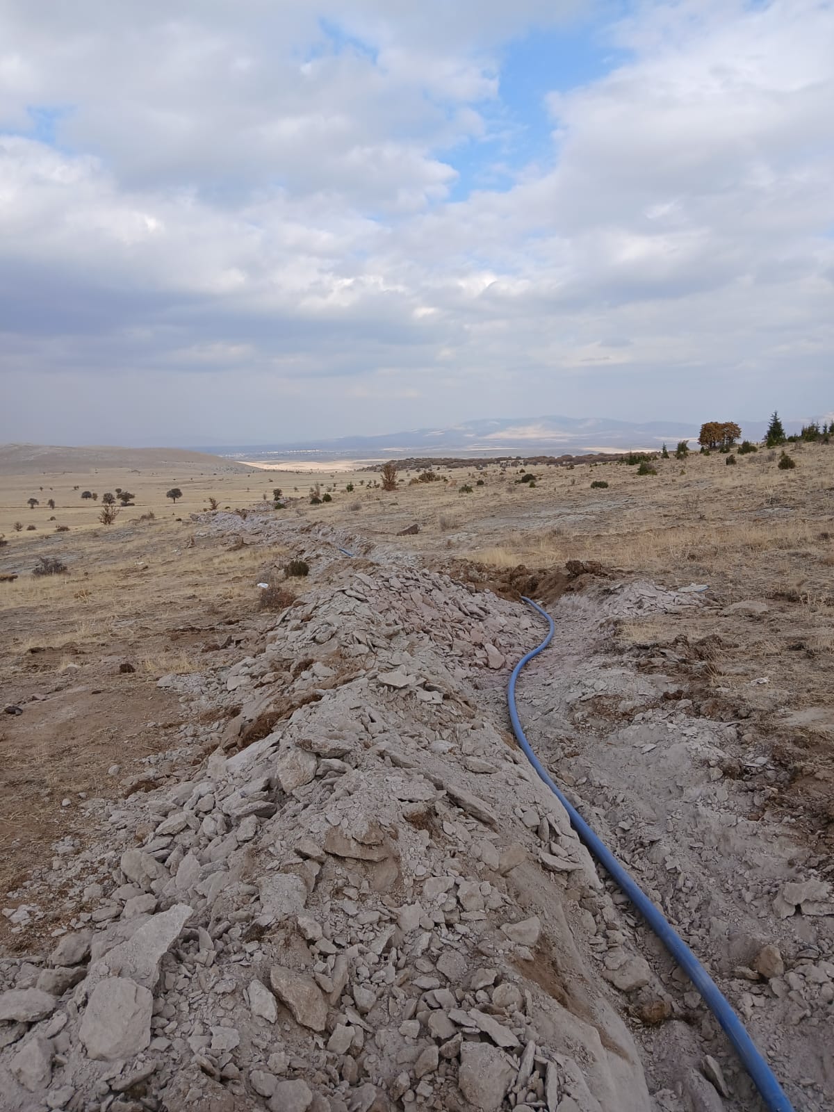 KAYSERİ (AA) – Kayseri Büyükşehir Belediyesi, tarım ve hayvancılığı güçlendirmek