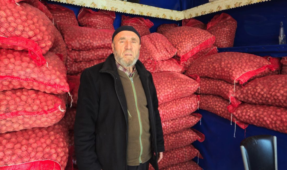 KIRŞEHİR (AA) – SERKAN GÜNER – Türkiye'nin önemli ceviz üretim