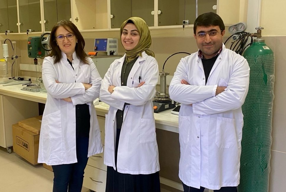 KIRŞEHİR (AA) – Kırşehir Ahi Evran Üniversitesi (KAEÜ) öğretim elemanları
