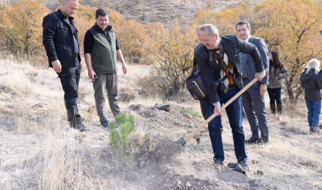 ANKARA (AA) – Ankara'nın Kahramankazan ilçesinde 11 Kasım Milli Ağaçlandırma