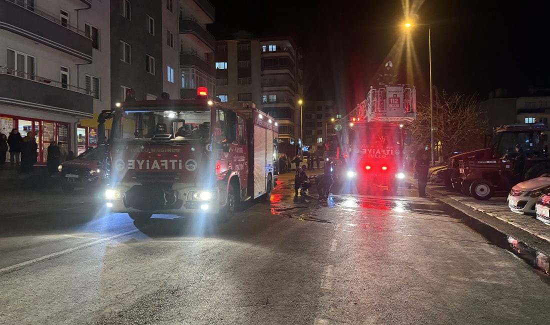 KAYSERİ (AA) – Kayseri'de psikolojik sorunlarının olduğu öne sürülen kişi