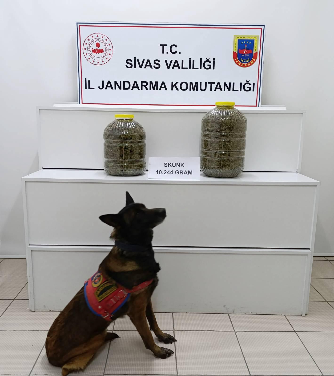 SİVAS (AA) – Sivas'ın Gürün ilçesinde yolcu otobüsünün bagajında bir
