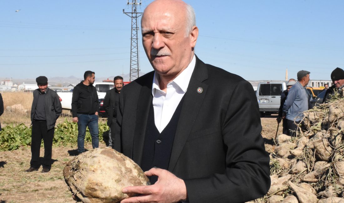 - "Son 10 yılda ortalama yıllık 19,5 milyon ton şeker
