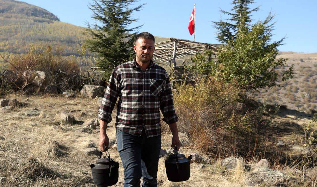 KAYSERİ (AA) – MÜZAHİM ZAHİD TÜZÜN – Kayseri'nin Hacılar ilçesinde