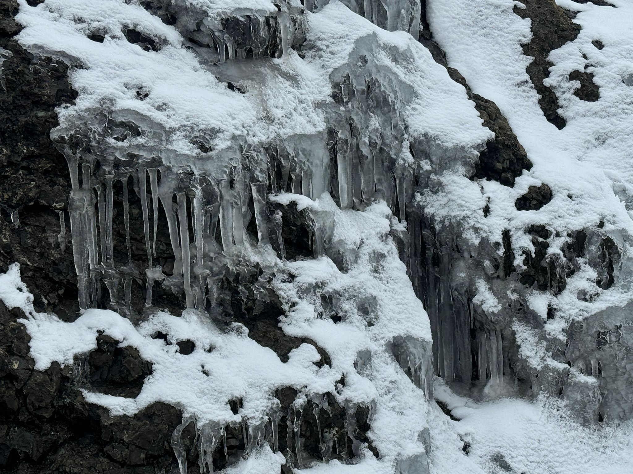 YOZGAT (AA) – Yozgat'ta soğuk hava nedeniyle ağaçlarda ve banklarda