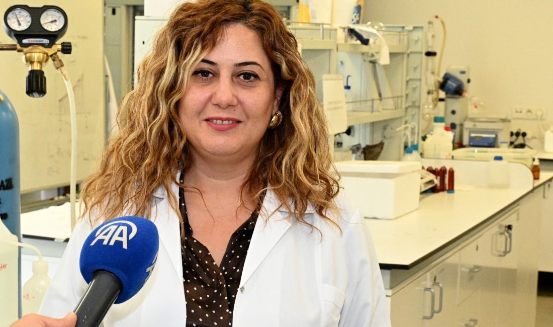 Çankırı Karatekin Üniversitesi (ÇAKÜ) Fen Fakültesi Öğretim Üyesi Doç. Dr.