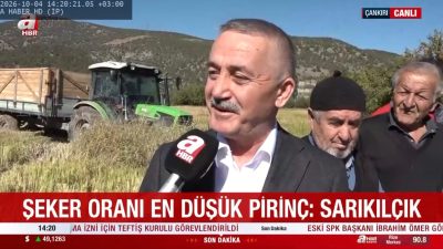 Ilgaz’ın coğrafi işaretli ürünü Sarıkılçık Pirinci, gerçekleştirilen hasat programıyla ulusal