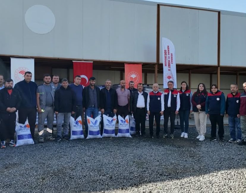 Çankırı’da mera alanlarını iyileştirmek amacıyla 6 köye 14 ton Macar